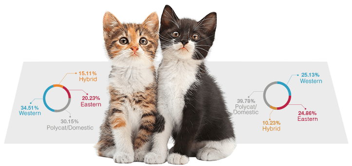 Cat Breed Report