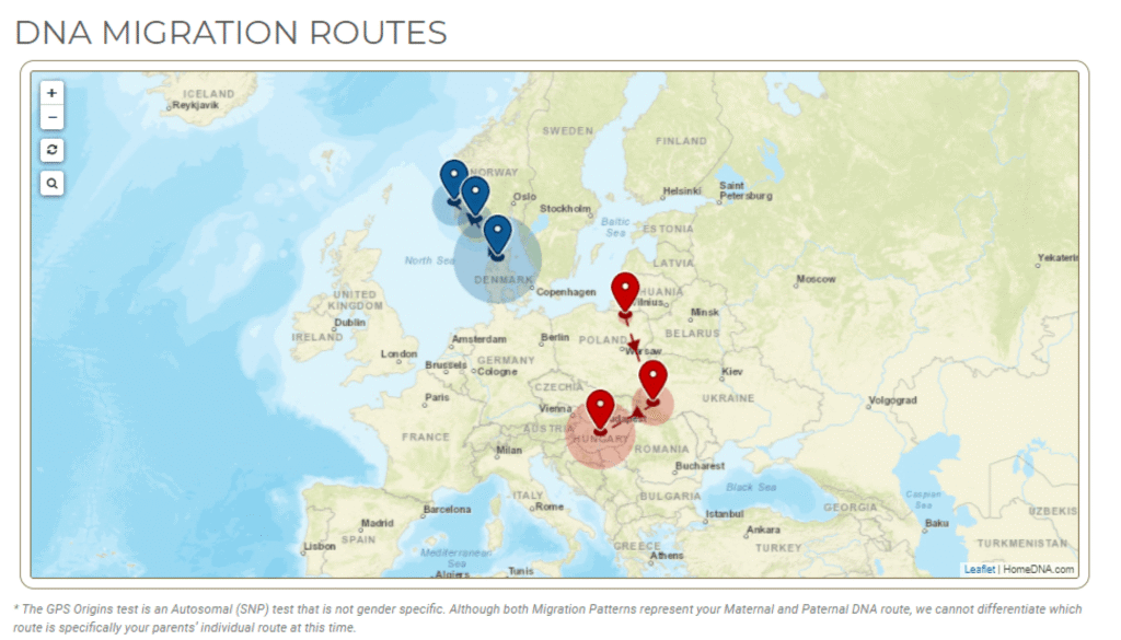 DNA migration routes